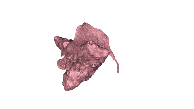 Slide 4