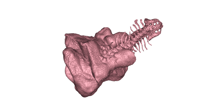 Slide 5